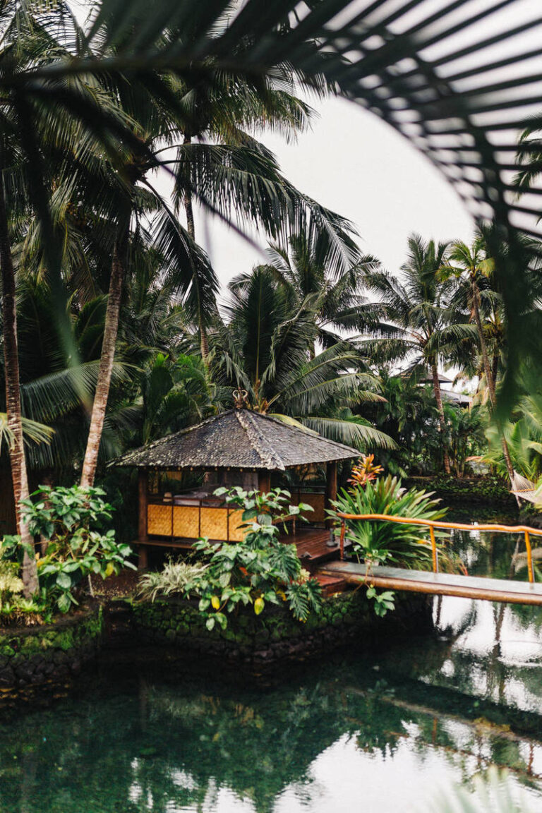Woman hands holding Apple iPhone 11 with CarPlay in screen